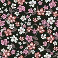 vintage sow flower illustration with beautiful colors vector