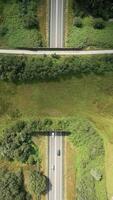 A top view of a wild life overpass in the Netherlands video