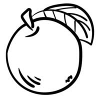 Outline apple, a simple outline fruit in a hand drawn doodle style vector