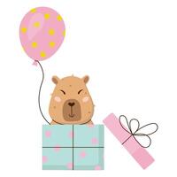 A cute and cuddly capybara character with balloon is sitting in a gift box. Happy Birthday concept. Funny hand-drawn festive sticker. illustration on transparent background. vector