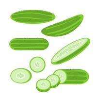 Different parts of a cucumber, whole, sliced and cut, isolated on white background vector