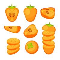 Persimmon set. Slice and whole of juicy persimmon vector