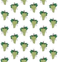Seamless pattern of sketch green grape vector