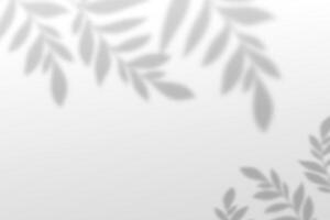 Minimalist blurred background with branches. Nature abstract texture. Blurred leaves with overly shadow effect vector