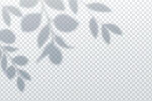 Nature background with simple leaves and branches with overly shadow effect vector