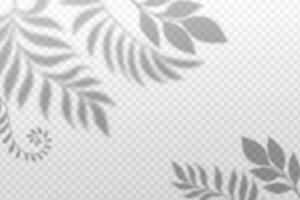 Blurred leaves with shadow effect. Nature background with transparency. vector