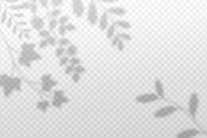 Minimalist blurred frame of leaves and branches with shadow effect. vector