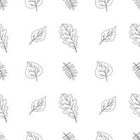 autumn green line doodle seamless pattern of different leaves, rowan berry, oak, chestnut, linden, birch, foliage botanical fall illustration, floral design, September, October background vector