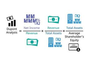 ROI for dupont analysis which included sale, total assets in formula for calculation vector