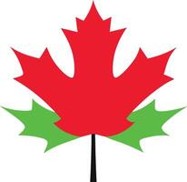 Autumn maple leaves create a vibrant display of red orange and yellow capturing the essence of fall vector