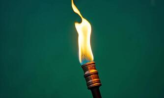 Lit torch flame against dark green background. video