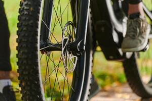 A sports bicycle races through the park, its components in focused motion spinning wheels, agile pedals, and sleek handlebars creating a dynamic spectacle of athleticism and speed against the backdrop photo