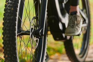 A sports bicycle races through the park, its components in focused motion spinning wheels, agile pedals, and sleek handlebars creating a dynamic spectacle of athleticism and speed against the backdrop photo