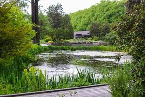 Scenic nature view in spring park. photo