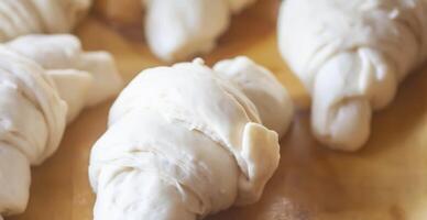 Raw croissant rolls in baking process. photo