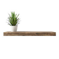 Rustic Charm A Simple Wooden Shelf with a Lush Green Plant, Perfect for Displaying Your Treasures. png