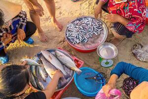 Top view of fisherman selling fish on the beach after they return from ocean so many day working on boat. Traditional fishermen photo