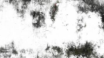 Close-up of Weathered Grunge Wall Texture photo