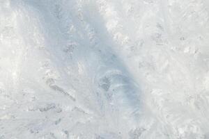 Winter Ice with Tree Shadow on Frozen Glass - Full Frame Texture photo