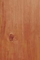Empty Light Brown Wood Panel for Abstract Background and Texture photo