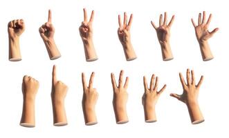 Kids hand counting fingers. zero, one, two, three, four, five, numbers isolated. Gestures set on photo