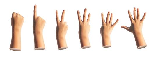 Kids hand counting fingers. zero, one, two, three, four, five, numbers isolated. Gestures set on photo