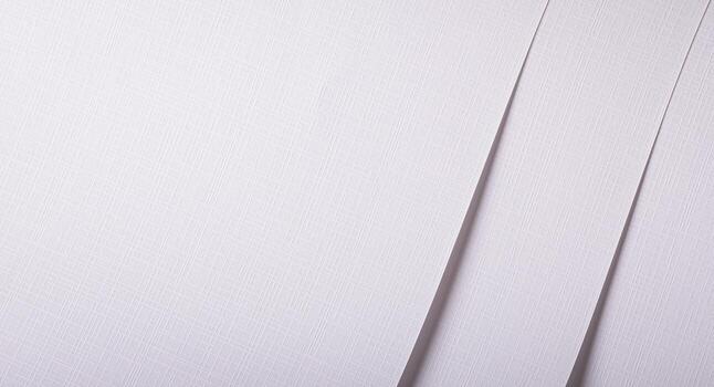 White texture with minimalist design Rich structure and gradient effect Elegant layout with fine photo