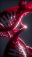 loop double helical structure of dna strand close-up animation video