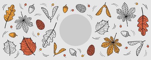 Floral Autumnal banner for text. Hand drawn doodle with autumn leaves, cones, acorn, maple leaf, oak leaf, plants. Design elements for Thanksgiving Day, fall season, event, web, card, flyer vector