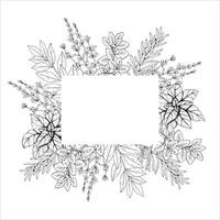 Graphics botanical illustrations with rosemary, thyme, basil, laurel and oregano. Black line sketch with herbs and spices. Two versions - with and without filling vector