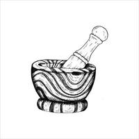 Graphics botanical illustrations with mortar and pestle. Black line sketch with herbs and spices. Two versions - with and without filling vector