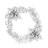Graphics botanical illustrations with rosemary, thyme, basil, tarragon, laurel, oregano. Black line wreath with herbs and spices. vector