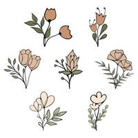 A set of bouquets of wildflowers in beige shades, standing out against a white background. vector