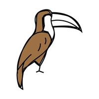 toucan bird icon color illustration vector