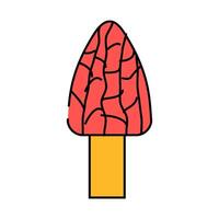 morel mushroom icon color illustration vector