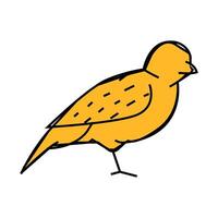 sparrow bird icon color illustration vector