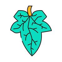 cucumber leaf icon color illustration vector