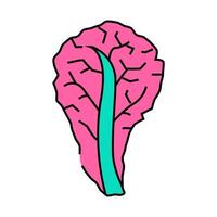 red lettuce icon color illustration vector