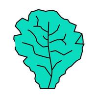 lettuce salad icon color illustration vector