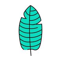stelizia tropical leaf icon color illustration vector