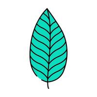 calathea tropical leaf icon color illustration vector