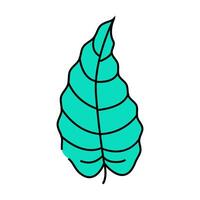 philodendron tropical leaf icon color illustration vector