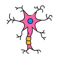 neuron structure neuroscience neurology icon color illustration vector