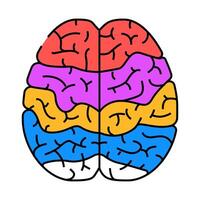 brain mapping neuroscience neurology icon color illustration vector