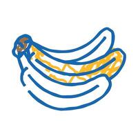 branch banana bunch icon doodle illustration vector