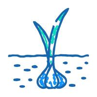 garlic plant vegetable garden icon doodle illustration vector
