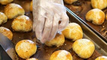 A person in a glove is putting sesame seeds on a tray video