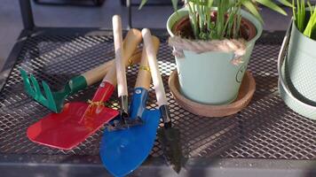 Gardening tools and flower pots with plants on a table video