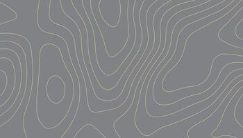 Seamless pattern with lines. Abstract white background with golden topographic line map. vector