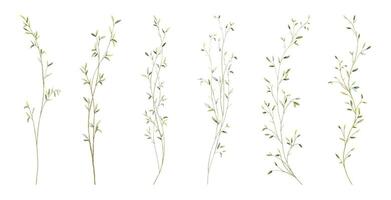Set of watercolor small leaves elements vector